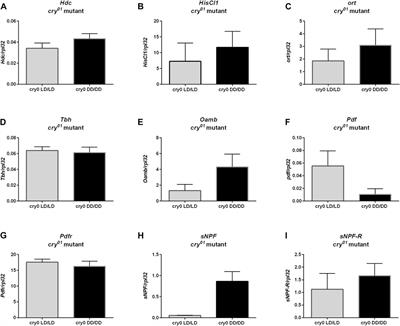 Light exposure during development affects physiology of adults in Drosophila melanogaster